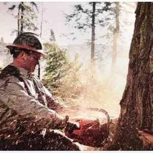 Meet your Posher, Ashlyn